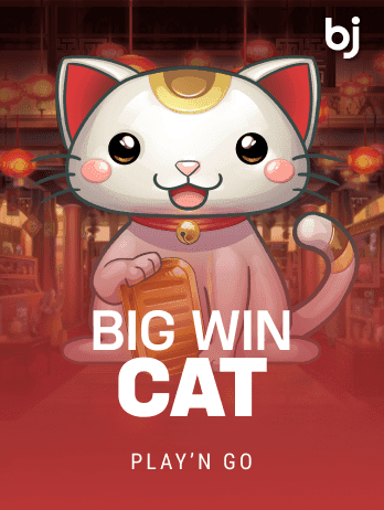 বিগ উইন ক্যাট